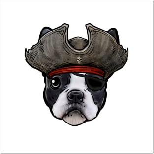 Boston Terrier Pirate Posters and Art